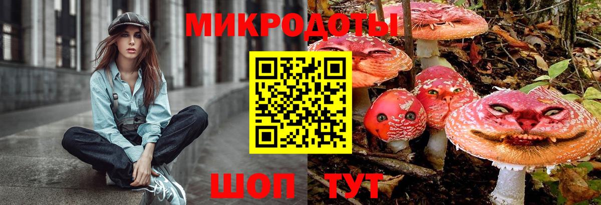 Киселёвск  Галлюциногенные грибы Psilocybe  Вход с VPN  Псилоцибиновые грибы Psilocybine cubensis 
